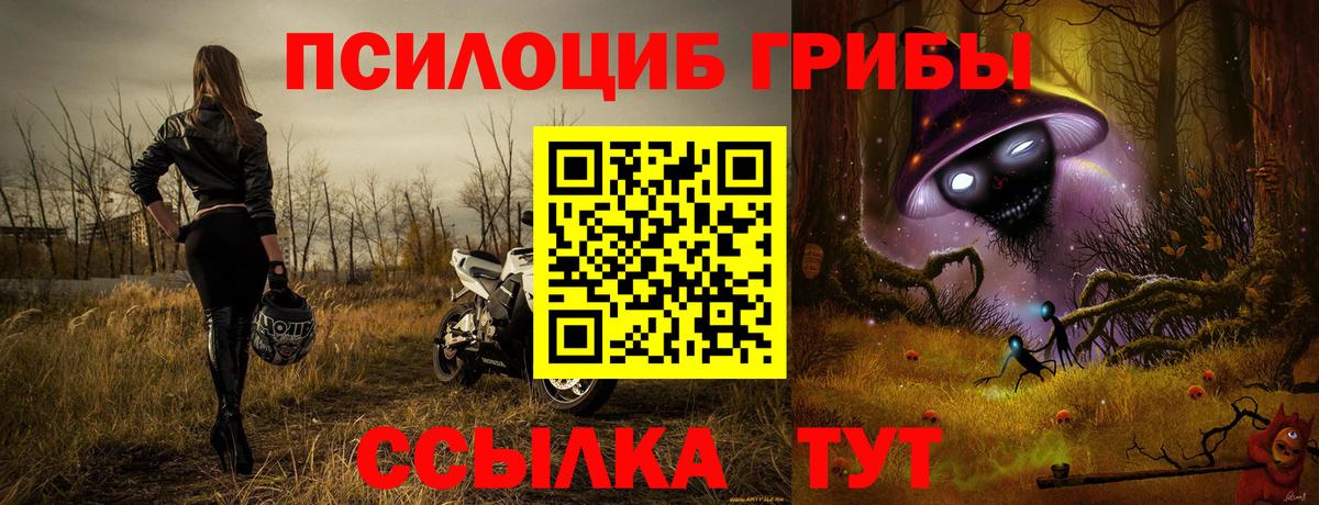 Галлюциногенные грибы GOLDEN TEACHER Волоколамск