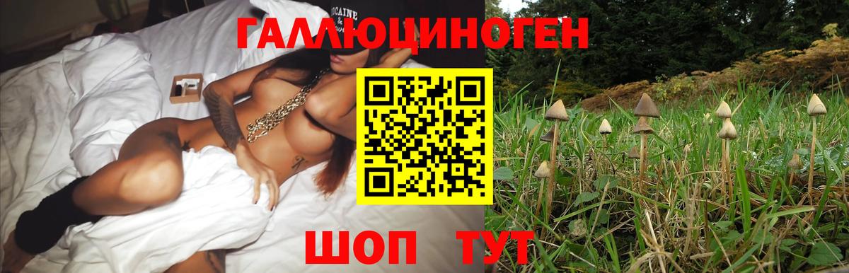Волоколамск  Псилоцибиновые грибы Magic Shrooms  Вход с VPN  Галлюциногенные грибы Magic Shrooms 